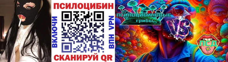 Галлюциногенные грибы Psilocybe  blacksprut ссылка  Котовск 